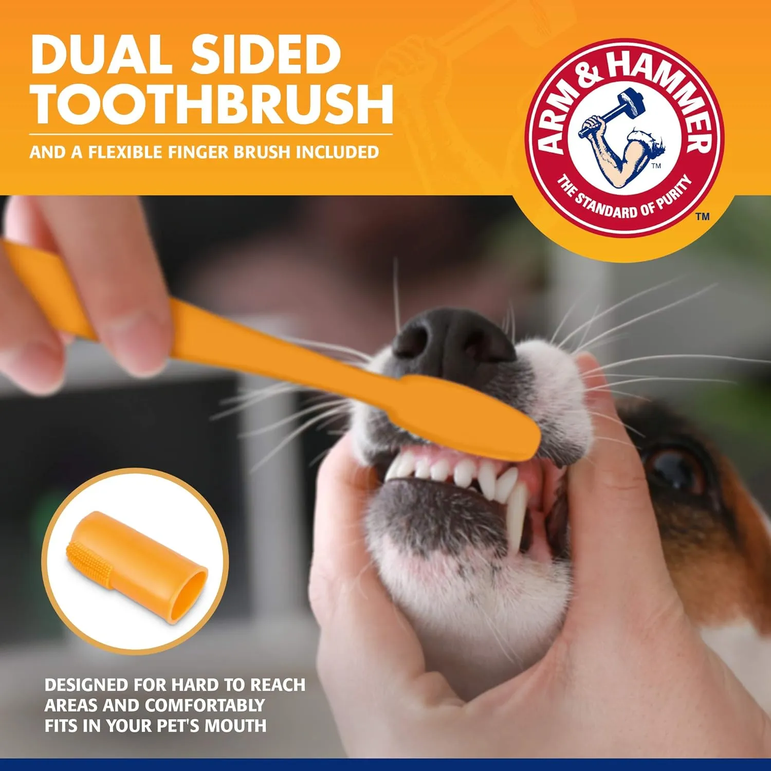 Dental Kit - Arm & Hammer Tartar Control for Dogs