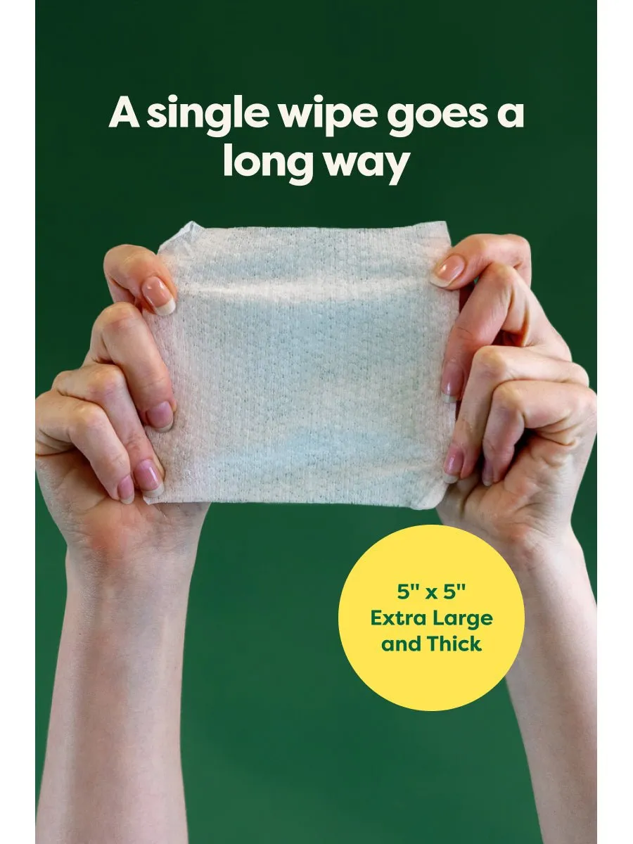 Earth Rated Dog Ear Wipes