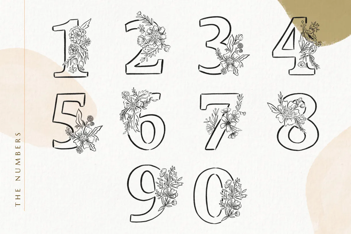 Floralia Botanic Alphabet Font   Illustrations