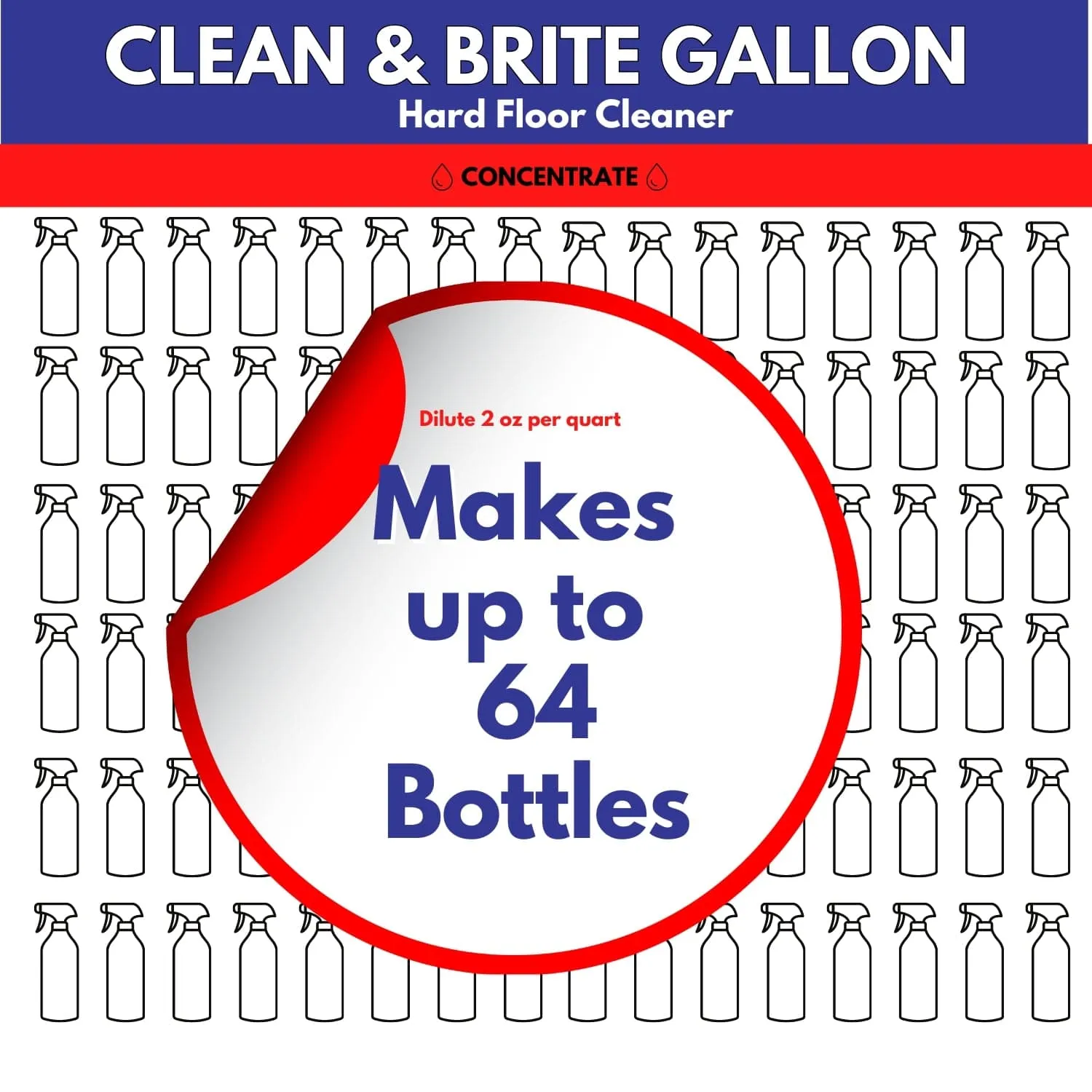 GALLON: Don Aslett Clean & Brite – Cleans Floors And Helps Bring Back Shine