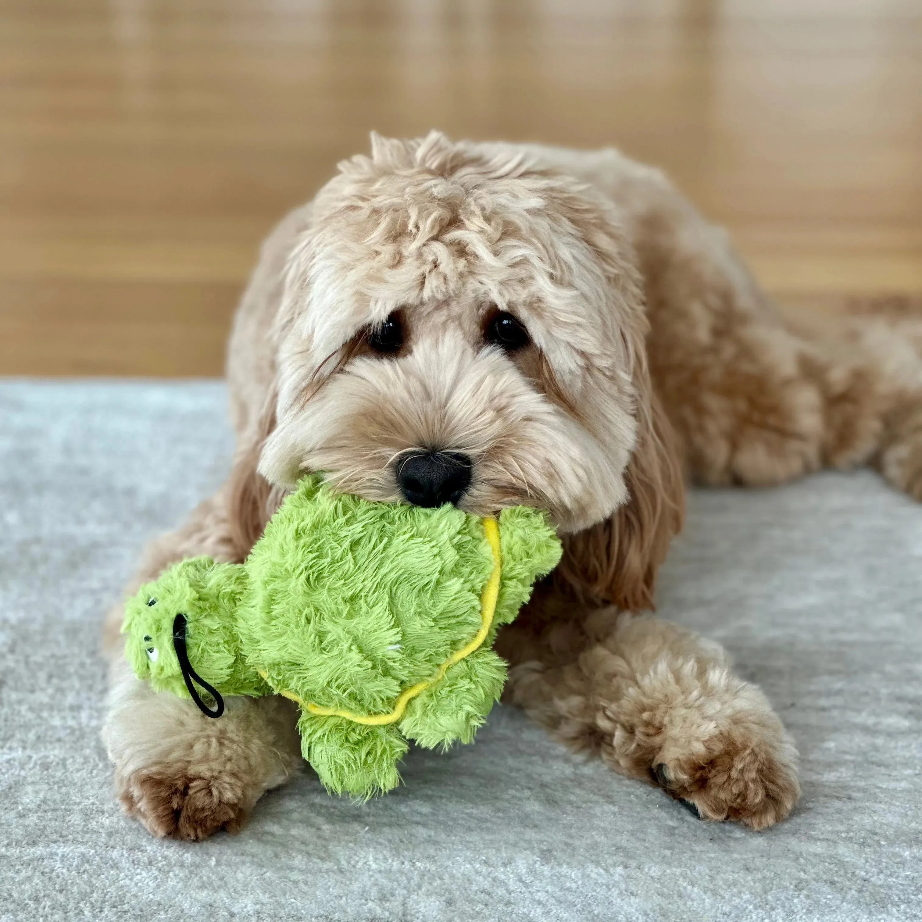 Patchwork Pastel Dog Toys