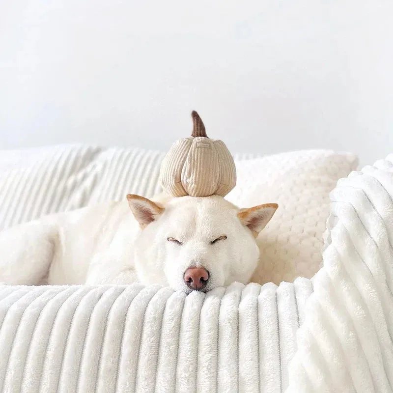 pumpkin enrichment toy